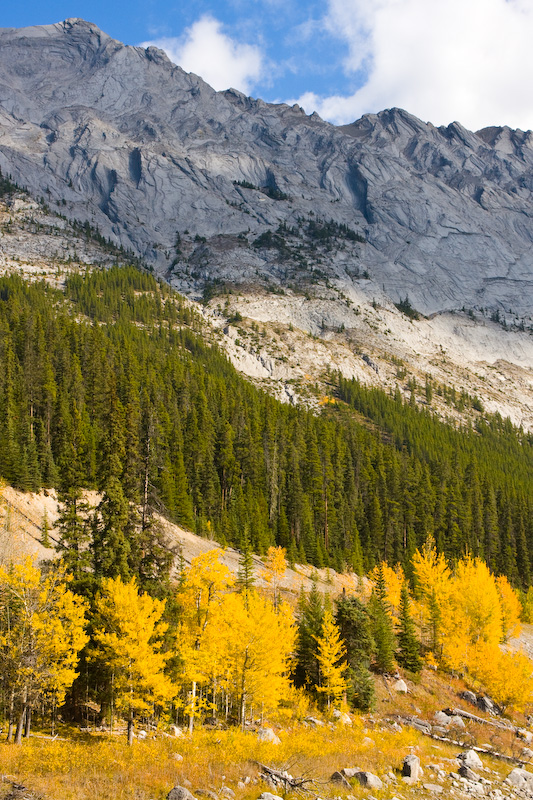 Fall Color And Mountains